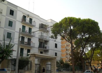 Cavi Filovia