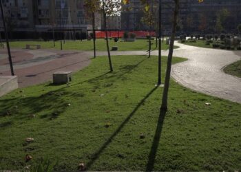 Bari, Aiuole Secche E Cavi Scoperti Nel Parco Maugeri. I Residenti: “trattati Come Cittadini Di Serie B” – Video
