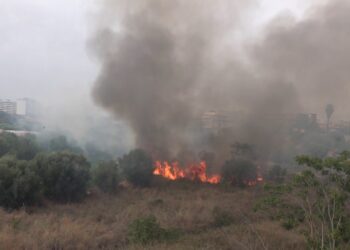 Bari, Ancora Un Incendio Nella Lama A Santa Rita: Fumo E Aria Irrespirabile. Evacuate Alcune Case – Video