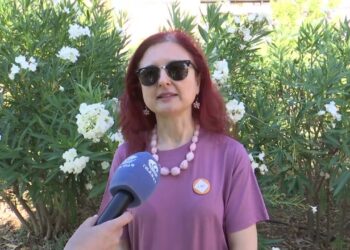 Bari, Emergenza Gatti: Circa 400 Quelli Arrivati In Un Anno Al Pronto Soccorso Veterinario. “aiutateci” – Video