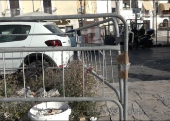 Blatte, Rifiuti E Basole Rotte: L’allarme Dei Residenti Di Bari Vecchia. “una Città Impresentabile” – Video