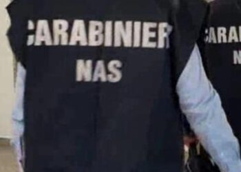 Carabinieri Nas