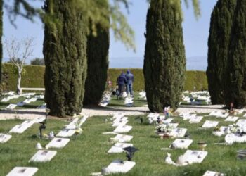 Cimitero Animali