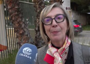 Disseccamento Dei Lecci A Bari, Nuova Arma Contro La Cocciniglia: Scendono In Campo Le Coccinelle – Video