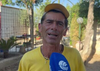 Era Una Piccola Pensione Amatoriale, Oggi Conta 350 Cani: La Storia Del Canile Rifugio Di Altamura – Video