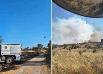 Incendio Minervino