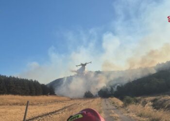 Incendio Murgia 2
