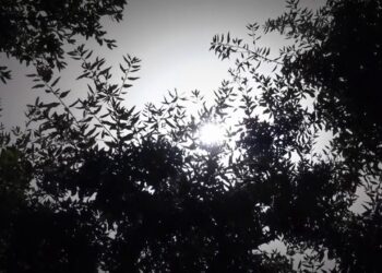 Meteo Puglia, In Arrivo Pioggia E Grandine Nelle Zone Interne: “da Mercoledì Nuova Ondata Di Calore” – Video