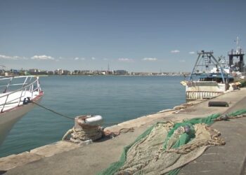 Scatta Il Fermo Pesca In Adriatico, Stop Attività A Strascico Fino Alla Costa Barese: Fino Al 29 Settembre – Video