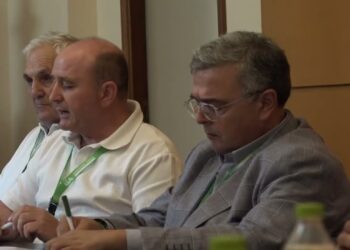 Vendite Giù E Giacenze In Cantina, Crisi Del Comparto Vitivinicolo Pugliese: Le Proposte Della Cia – Video