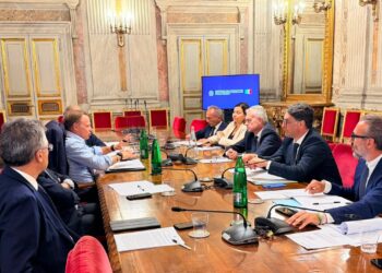 Paolicelli Incontro Ministo E Regioni Olivicoltura (1)