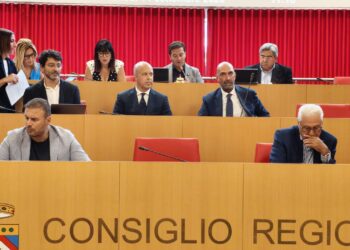Audizione Consiglio Regionale