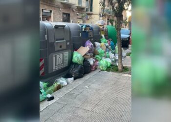 Bari, Bidoni Intelligenti: Polemica A Madonnella. “cassonetti E Rifiuti Danneggiano Il Mio Negozio” – Video