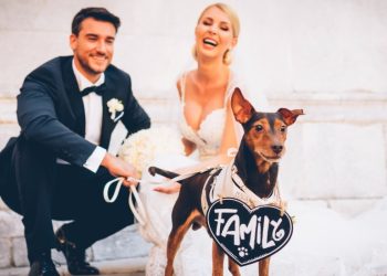 Dog Sitting Matrimoni