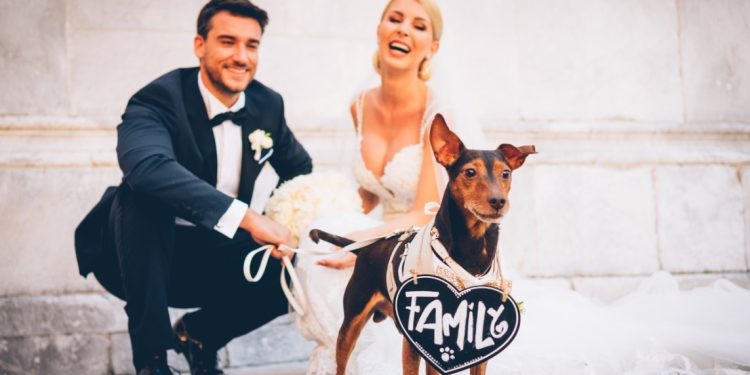 Dog Sitting Matrimoni