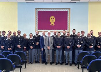 Nuovi Poliziotti 2