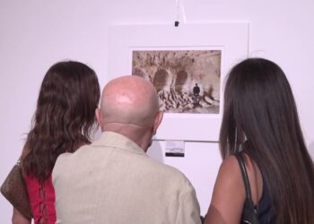 Paesaggi, Tratturi E Cammini Di Puglia: A Bari La Mostra “orizzonte Terra” Di Franco Giacopino – Video