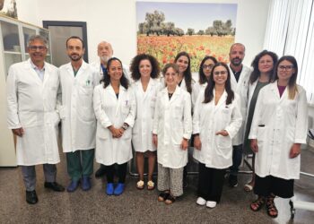 Ricercatori Irccs Debellis