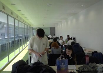 Studiare Al Tempo Dell’ai, Cosa Pensano Gli Studenti Di Bari: “strumento Utile, Ma Stiamo Attenti” – Video