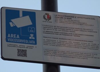 Telecamere Brt