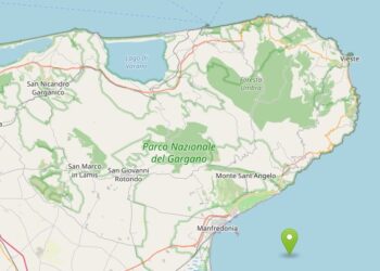 Terremoto Sisma Manfredonia