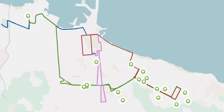 20 10 26 Verde Urbano, Al Via Gli Interventi Sugli Alberi Secchi E Compromessi In Programma Oltre 300 Nuove Piantumazioni Con Fondi Brt Mappa