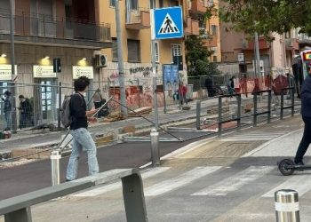Cattura