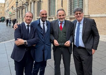 Leccese E Parlamentari
