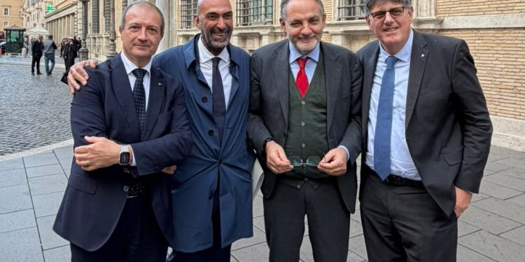 Leccese E Parlamentari
