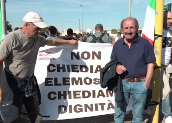 Aumento Costi E Crollo Prezzo Dell’olio, Agricoltori In Rivolta Sulla Sp23: “subito Stato Di Crisi” – Video