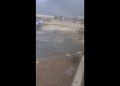 Bari, Liquami Sul Lungomare Di Santo Spirito Dopo La Pioggia: Programmati Sopralluoghi Aqp – Video