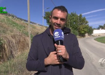 Bustoni Di Rifiuti, Marciapiedi Rotti E Animali Morti: Degrado Vicino Al Ponte Di Ceglie Del Campo – Video