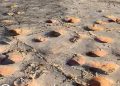Cava Dinosauri Altamura