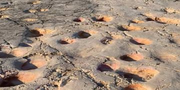 Cava Dinosauri Altamura