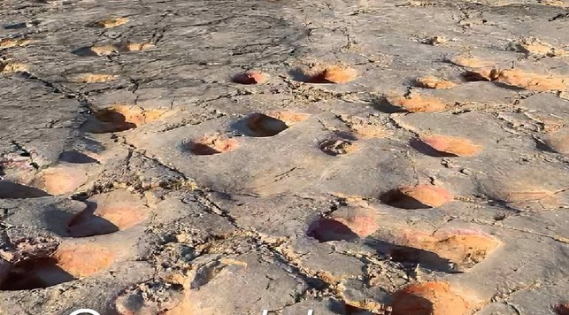 Cava Dinosauri Altamura