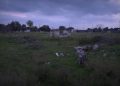 Ex Compendio Rai Di Ceglie Del Campo, 12 Ettari Per Il Nuovo Parco Urbano: “qui Tanta Cultura” – Video
