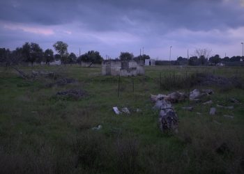 Ex Compendio Rai Di Ceglie Del Campo, 12 Ettari Per Il Nuovo Parco Urbano: “qui Tanta Cultura” – Video