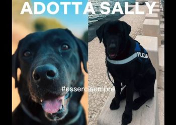Sally