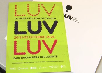 Torna ‘luv’, A Bari Due Giorni Dedicati All’uva Da Tavola. Paolicelli: “promuovere Una Visione Innovativa” – Video