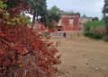 Villa Giustiniani 10
