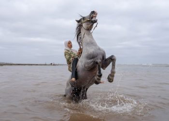 World Press Photo