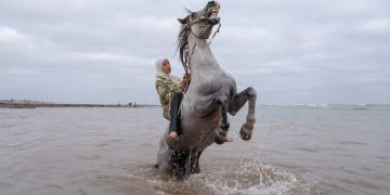 World Press Photo
