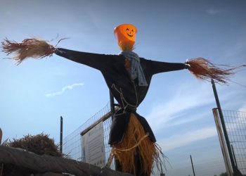 Zucche Halloween Pietrasole