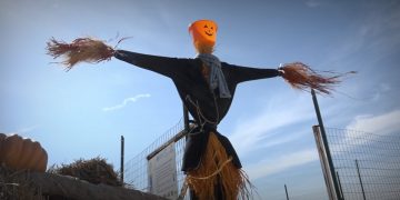 Zucche Halloween Pietrasole